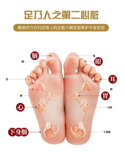 【后辰三好艾草足贴2.