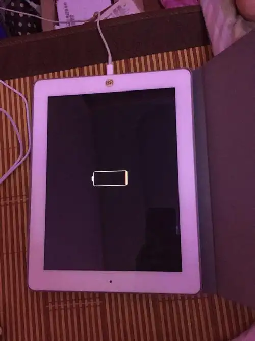 ipad4充电显示这个样子,20分钟还是充不进电是什么原因