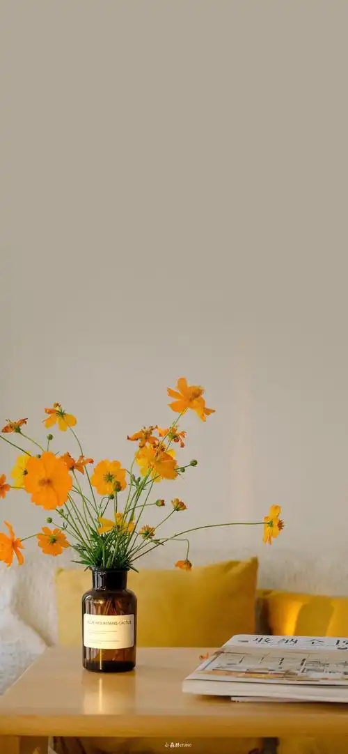 iphone12pro max - 堆糖,美图壁纸兴趣社区