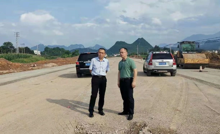 常务副县长潘文彬到黎埠镇督导新城区建设和防汛备汛工作-阳山县政府