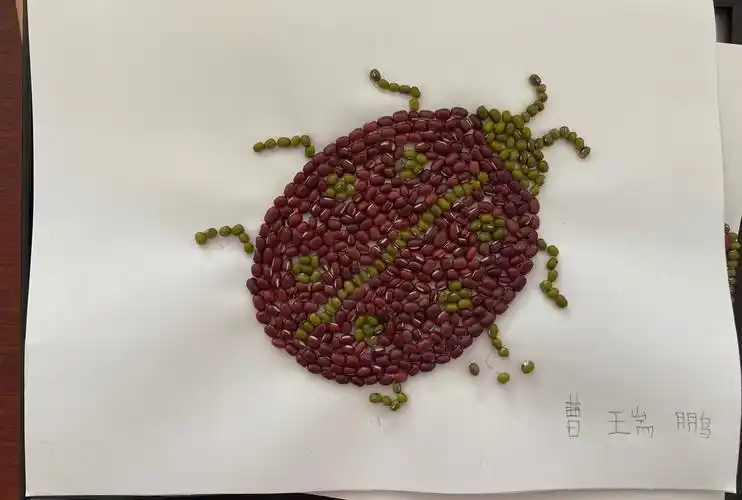 甘泉街小学二4中队种子粘贴画