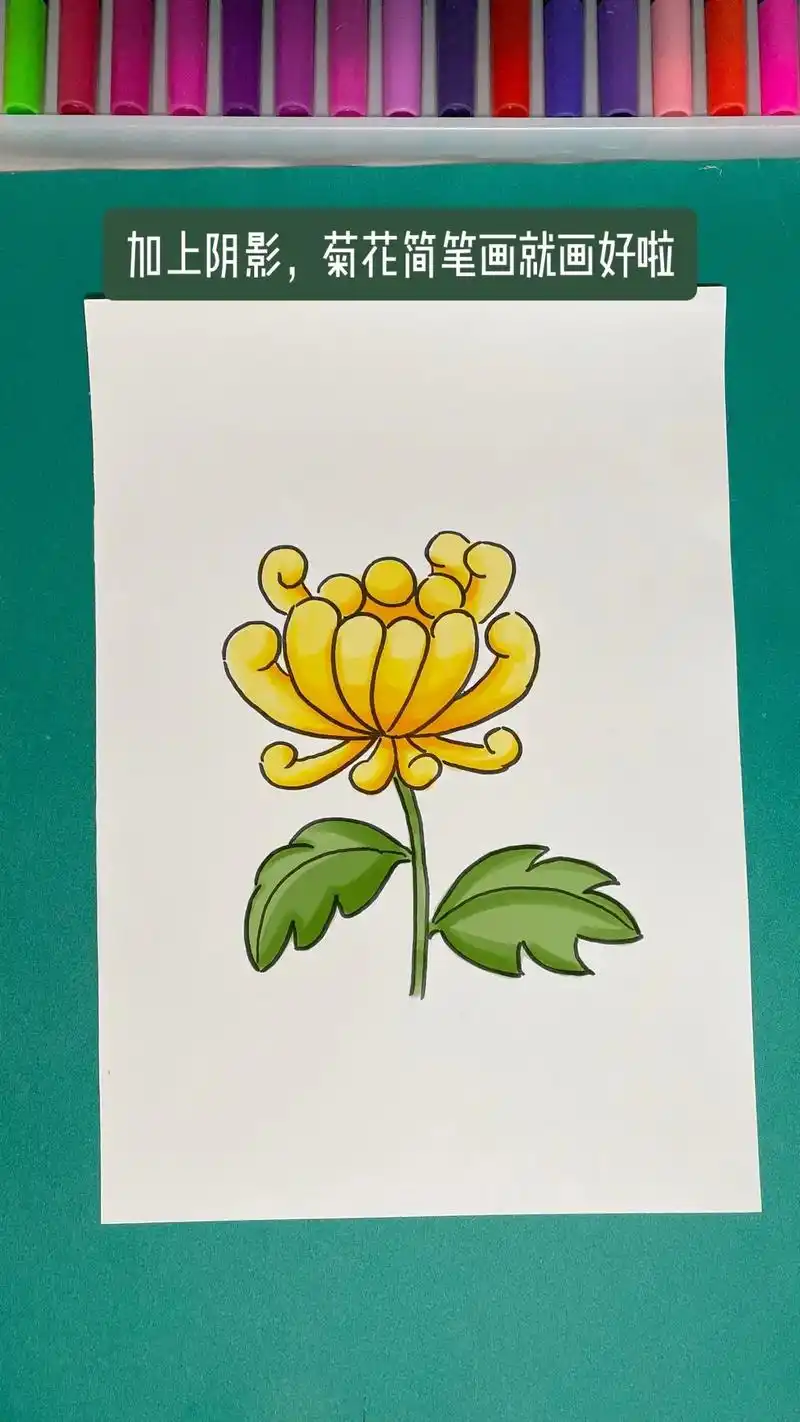 清明节主题必备菊花简笔画.菊花简笔画绘画步骤学不会打我 #简 - 抖音