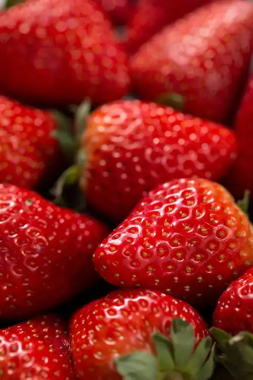 草莓水果拍摄