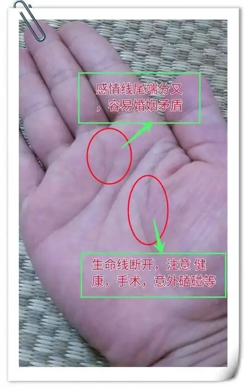 手掌纹生命线中间断开(手中掌纹生命线中间断了会怎样)