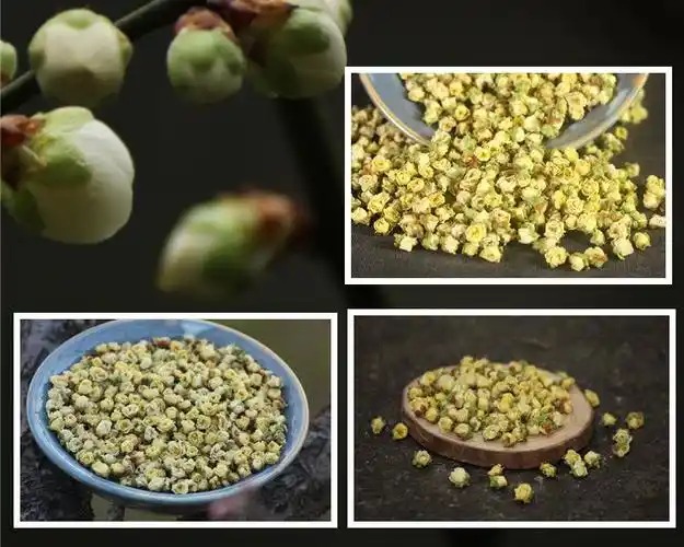 绿萼梅花茶手选干梅花苞泡水绿梅花白梅花茶中药50克【图片 价格 品牌
