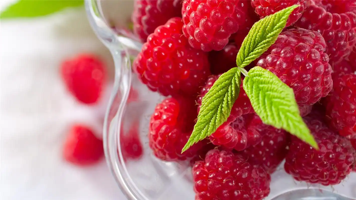 鲜红诱人可口水果树莓唯美小清新桌面壁纸(四)