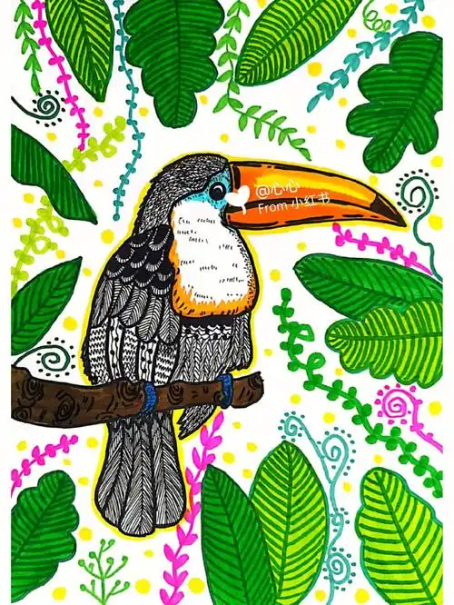 儿童画–漂亮的大嘴鸟写生有步骤有课件