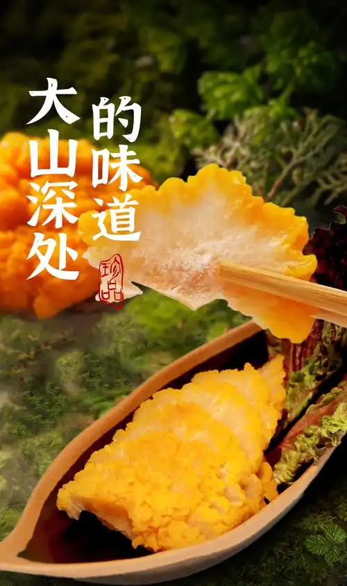 菌中的黄金:黄金耳菌