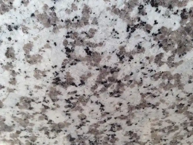 大白花g439石材图片 大白花g439花岗石图片 石材大白花g439贴图大全