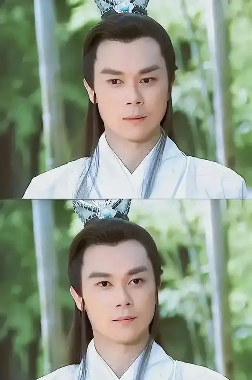 男星王灿现照(反派专业户王灿)(40)