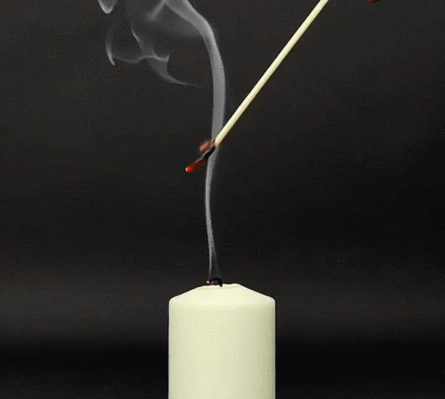 560_503gif 动态图 动图