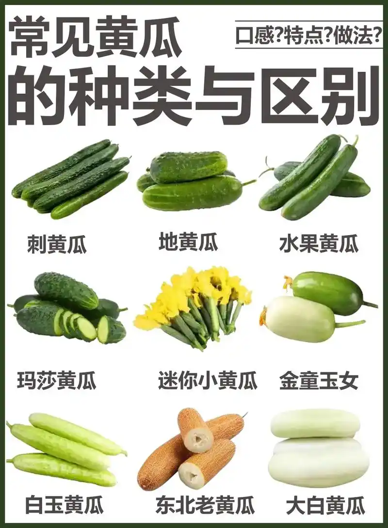 常见黄瓜的种类与区别.bgm—i wish | never  - 抖音