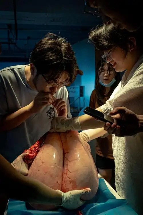 "一块鲜红的"猪下水"放在解剖盘子里,周舒扬戴着手套指着组织的馅节