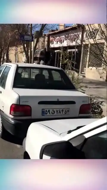 看车牌学伊朗数字