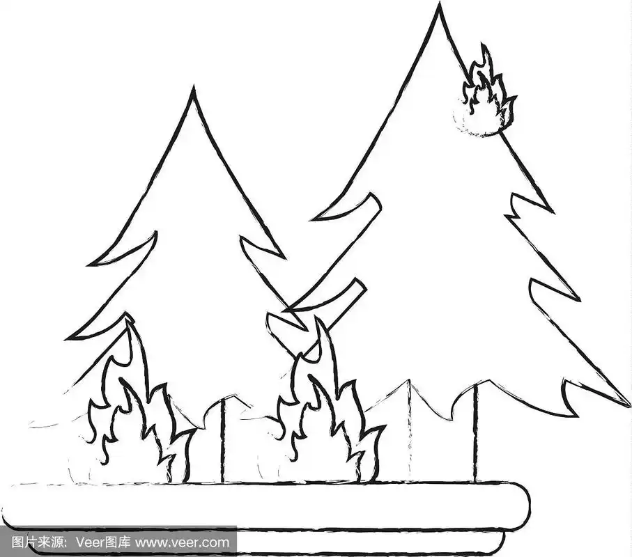 森林火灾