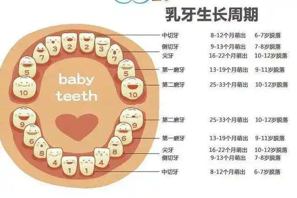 牙齿不齐6问6答,这6个问题真经典!