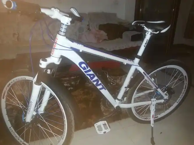 新买的捷安特车不知道什么型号,希望帮帮忙看看多少钱?带图