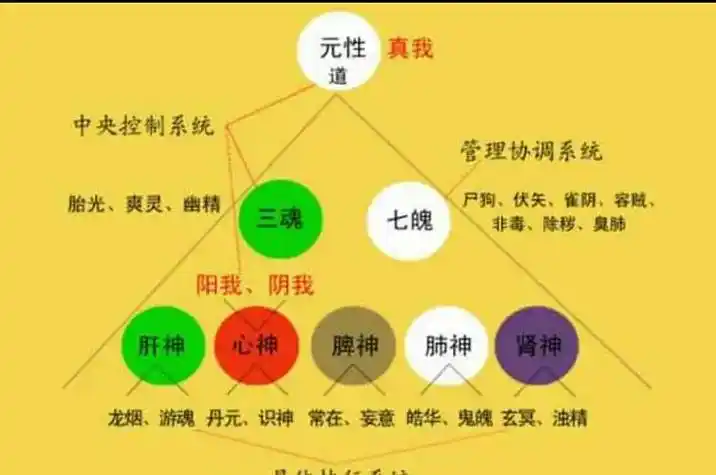 民间传说的三魂七魄是什么(三魂七魄是哪三魂?哪七魄?