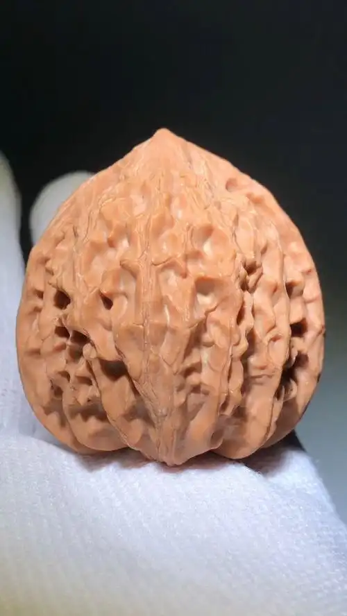 超美灯笼狮子头