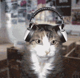 280_272gif 动态图 动图