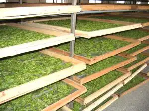 智能茶叶烘干机 厂家直销