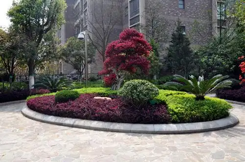 花坛花境的施工技术