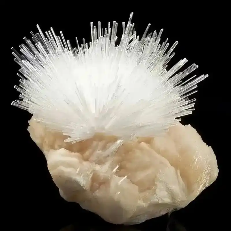 石头开花网络图片诺侵权请删除