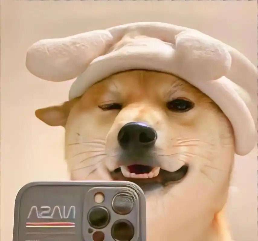 狗狗头像 霸气狗狗 头像 动物头像 萌狗 一组风华绝代的狗狗头像