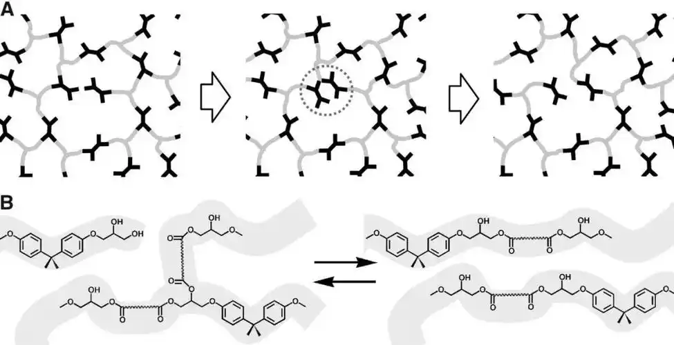 nature点评多篇science及nature发表的塑料回收之路