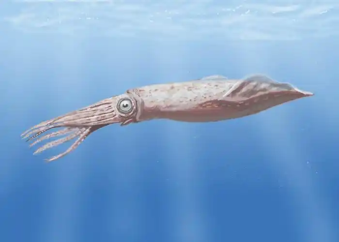 方舟生存进化已经确认的动物名单