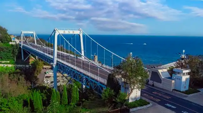 滨海路北大桥图片