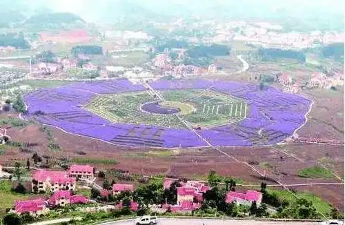 贵州酒都人口67万的大县市 却已早早撤县立市