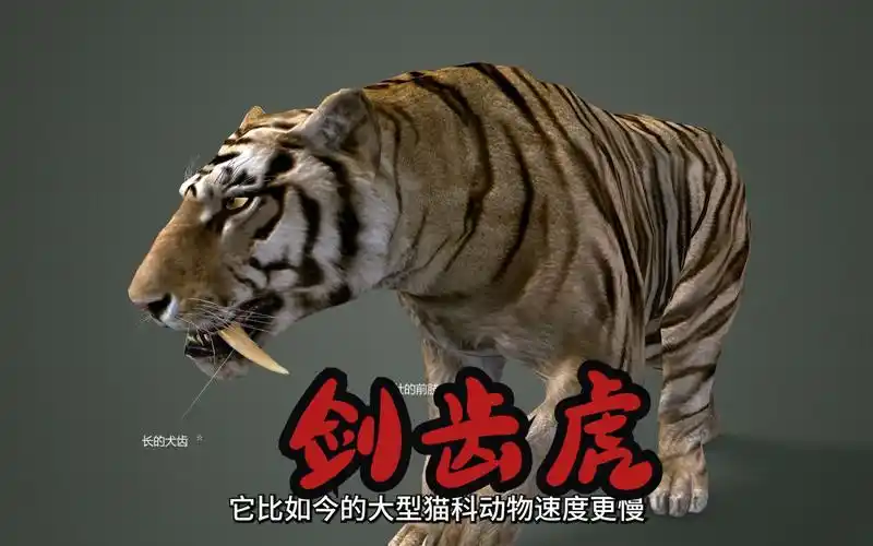 古虎科动物,剑齿虎