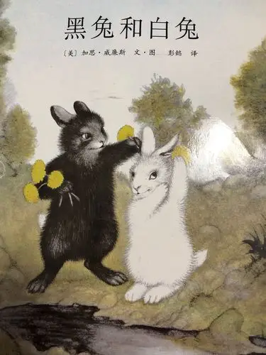 爱的故事-绘本推荐《黑兔和白兔》