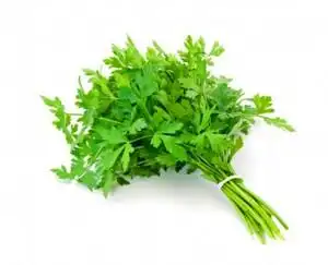 新鲜意大利香菜 新鲜欧芹 100g 新鲜香料 装饰