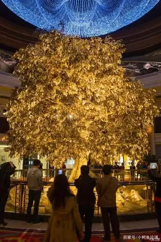 澳门永利赌场黄金树,多少赌客的血汗钱