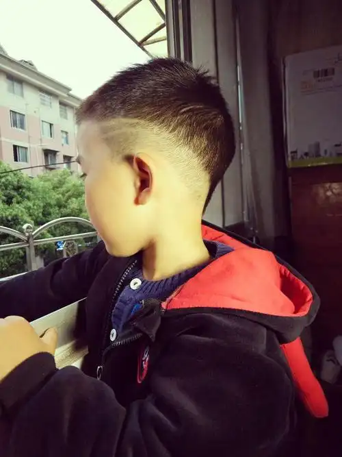 你在看风景吗,给你理了个栗子头,很帅吧!