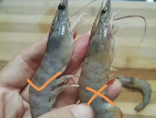 菜市场遇到这种虾,再便宜也不要买,为了家人健康看看
