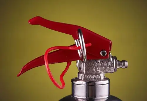 汽车灭火器车载干粉灭火器 500g手提式灭火器迷你车用灭火器 不锈钢