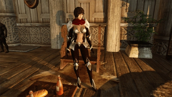 上古卷轴5黑暗姐妹会紧身轻甲套装mod