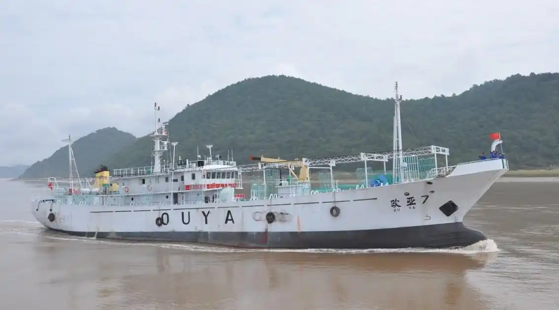 鲁荣渔2682号 鲁荣渔2682号电影