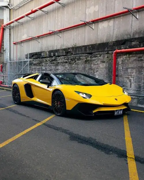 兰博基尼aventadorsvroadster