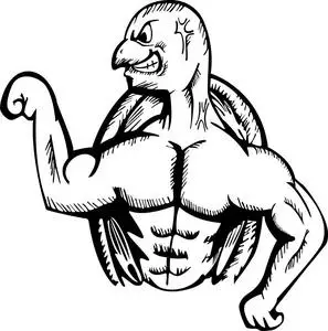 肌肉龟健美卡通动物性格图片