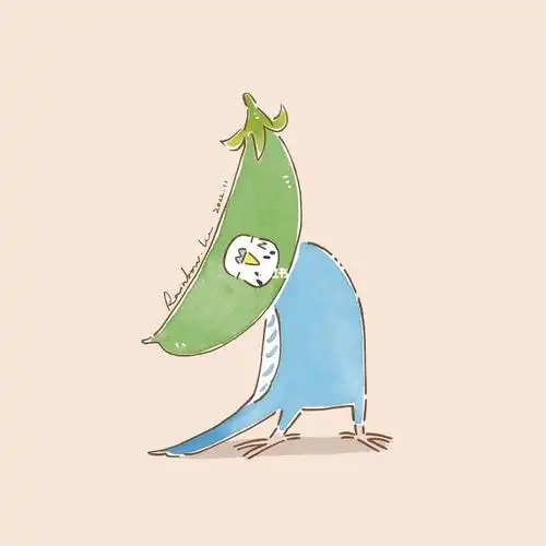 原创插画#插画分享#画画的日常#手绘#虎皮鹦鹉#鹦鹉