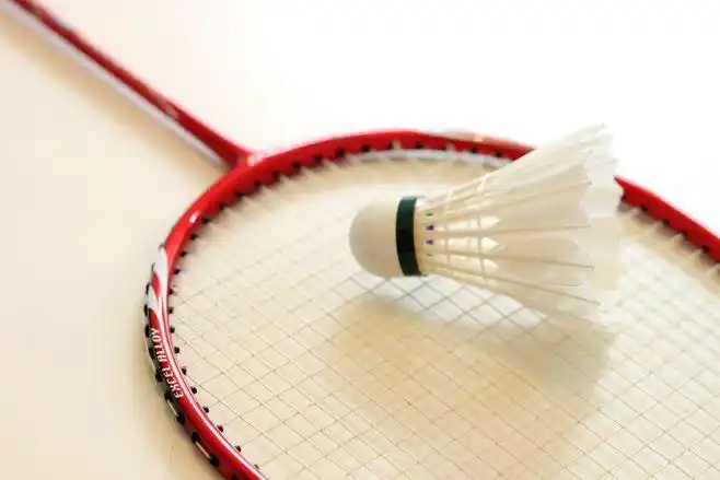 我的yy羽毛球拍 : 我的yy羽毛球拍和羽毛球