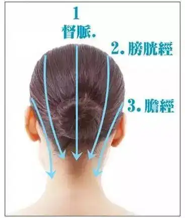 写美篇头部的正中线走的是督脉;督脉的两侧分别是膀胱经和胆经.