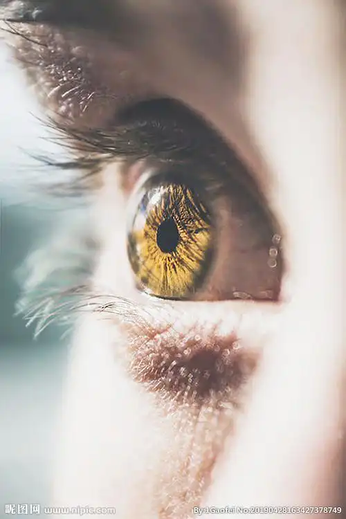 眼睛图片