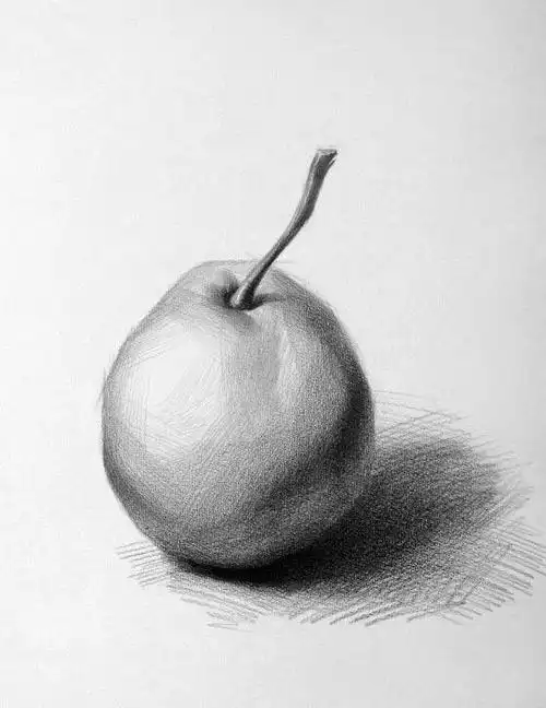 素描梨子图片 画法步骤 - 叮叮工作室
