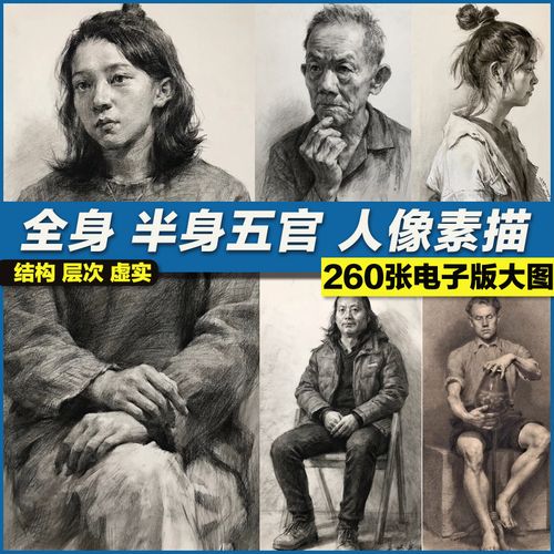 人像半身像头像人物坐姿五官手美术生临摹校考考研临摹图片素材