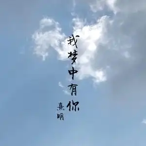 我梦中有你